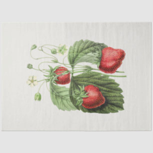 Vintage strawberry tissue paper