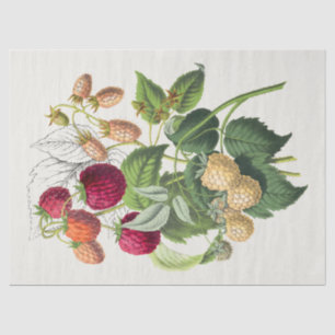 Vintage Strawberry Tissue Paper