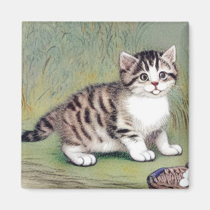Vintage Striped Kitten Illustration Magnet