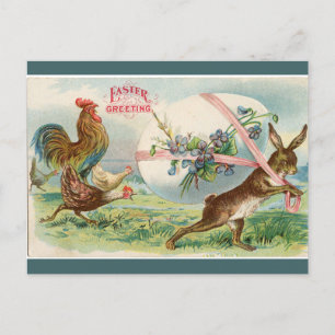 Vintage Strong Rabbit Chased By Chickens Postcard