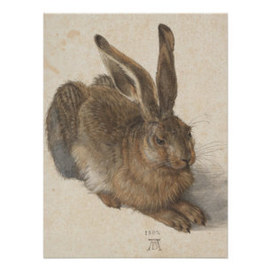 Vintage-Style Albrecht Dürer - Hare Acrylic Poster