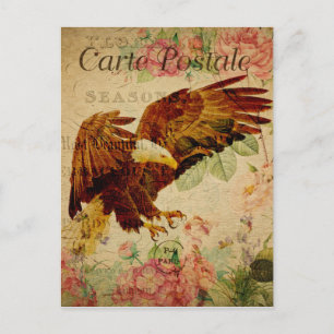 Vintage Style Bald Eagle French Carte Postale Postcard