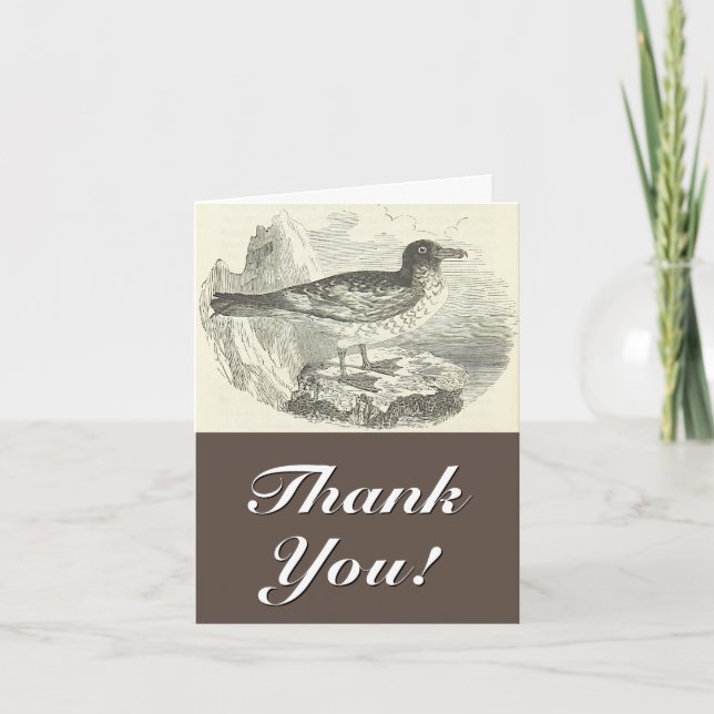 Vintage Style, Bird, "Thank You!" Card (Front)