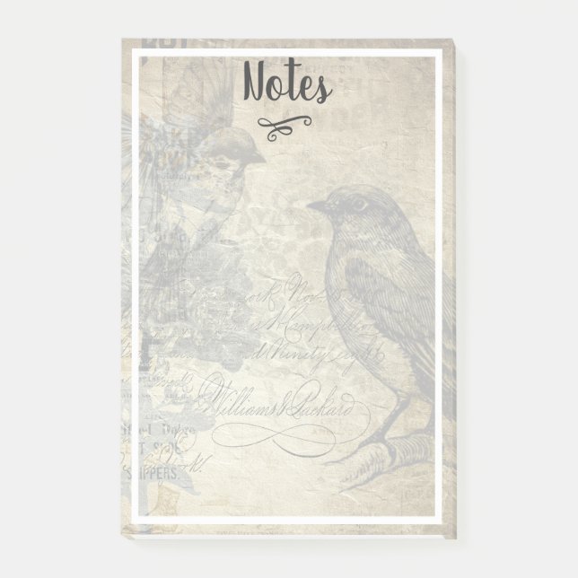 Vintage Style Birds Illustration Post-it Notes (Front)