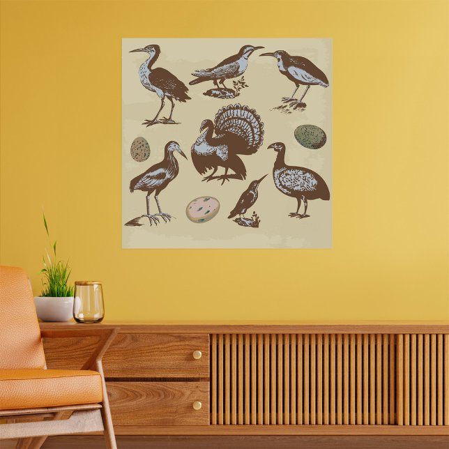 Vintage Style Birds Poster (Creator Uploaded)