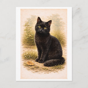 Vintage-Style Black Cat Illustration Postcard