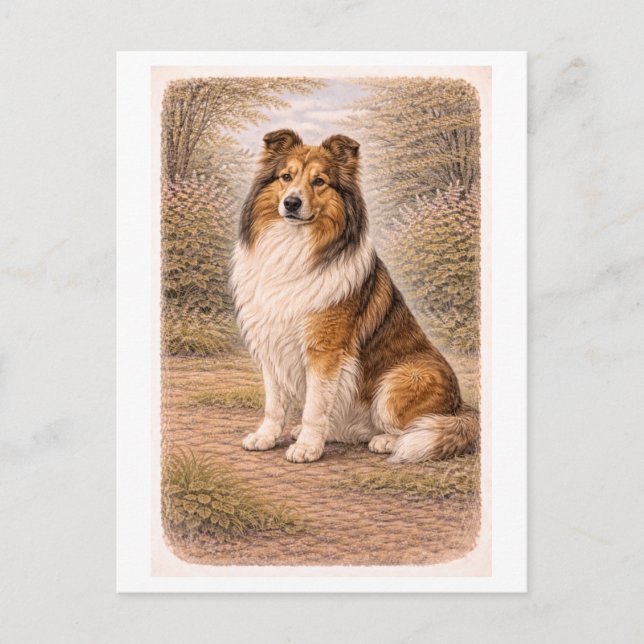 Vintage-Style Collie Postcard (Front)