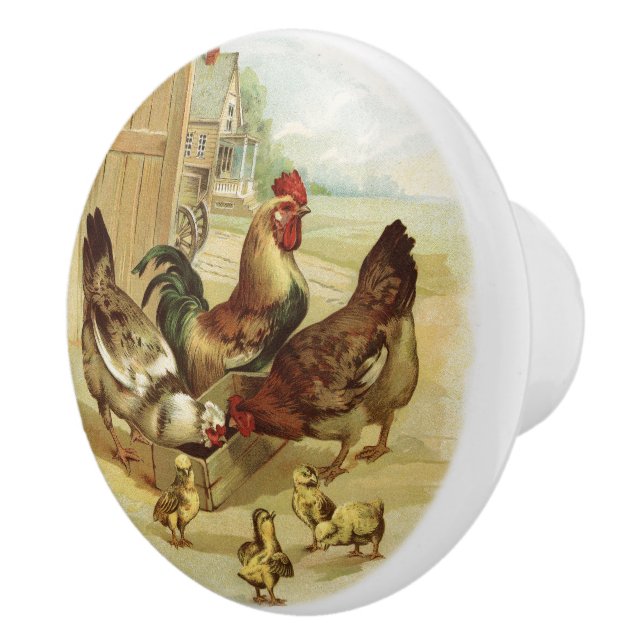 Vintage Style Country Farm Chicken Hens Ceramic Knob (Right)