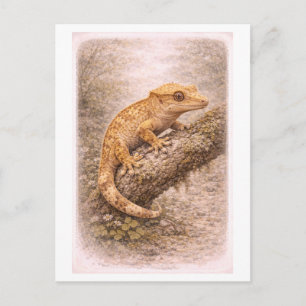 Vintage-Style Crested Gecko Illustration Postcard