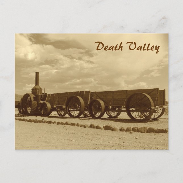 Vintage Style Death Valley Postcard! Postcard (Front)