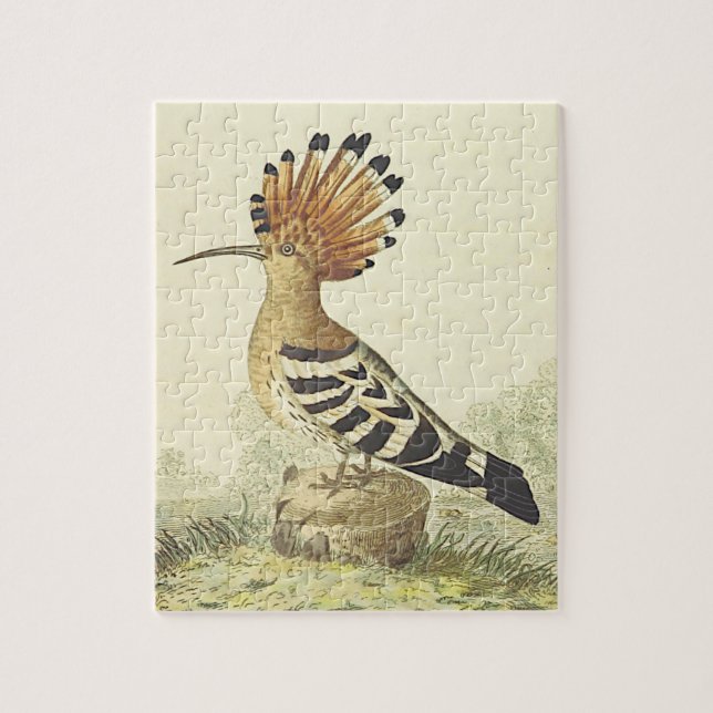 Vintage-Style Depiction of a Bird Puzzle (Vertical)
