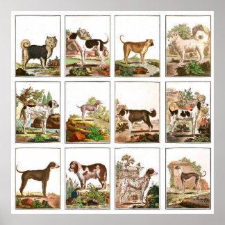 Vintage Style Dog Collage Poster