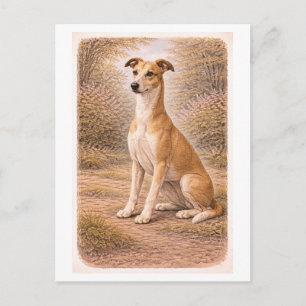 Vintage-Style Greyhound Postcard
