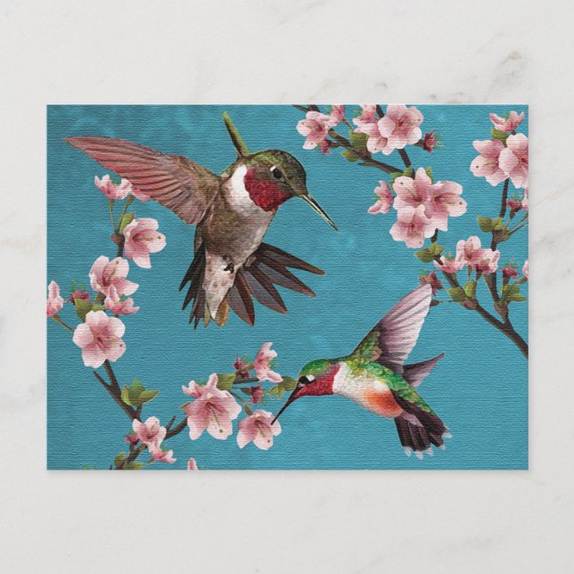 Vintage Style Hummingbird Painting Postcard (Front)