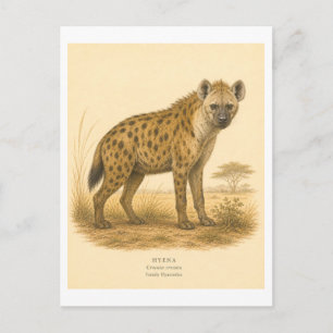 Vintage-Style Hyena Illustration Postcard