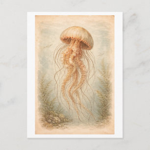 Vintage-Style Jellyfish Illustration Postcard