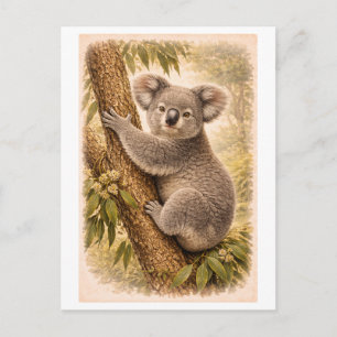 Vintage-Style Koala Illustration Postcard