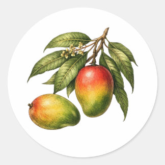 Vintage Style Mango Fruit Branch Classic Round Sticker