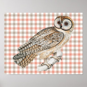 Vintage Style Owl Bird Poster Art on Plaid