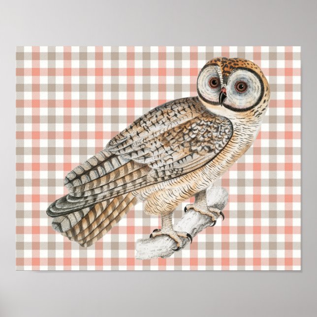 Vintage Style Owl Bird Poster Art on Plaid (Front)