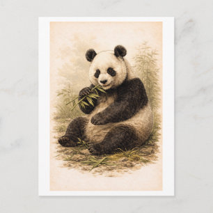 Vintage-Style Panda Illustration Postcard
