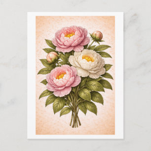 Vintage-Style Peony Botanical Illustration Postcard