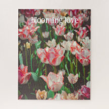 Vintage style pink fringed tulips 