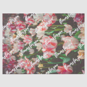 Vintage style pink fringed tulips  tissue paper