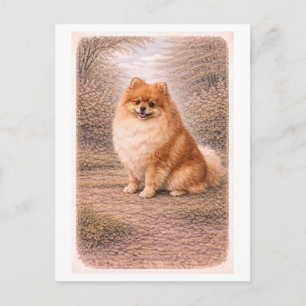 Vintage-Style Pomeranian Postcard