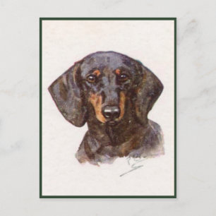 Vintage Style Postcard With Cute Dachshund