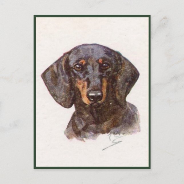 Vintage Style Postcard With Cute Dachshund (Front)