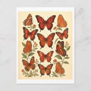 Vintage-Style Red Butterfly Illustration Postcard