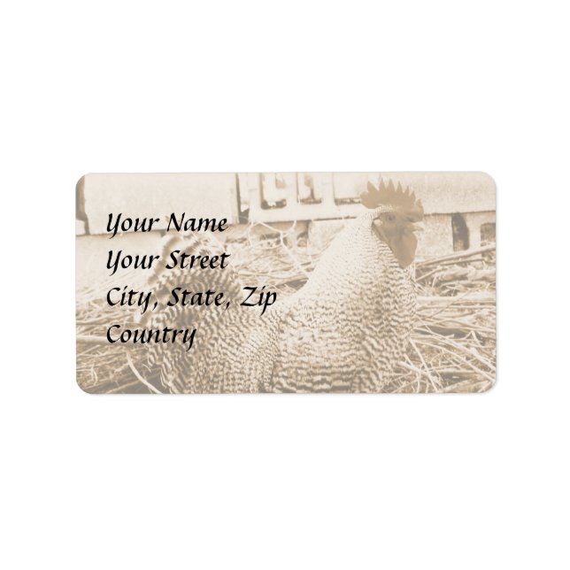 Vintage Style Rooster Photograph Label (Front)