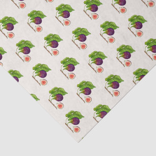 Vintage style watercolor Figs on ecru  Tissue Paper