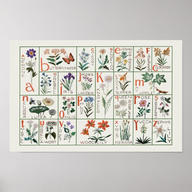 Vintage Style Wildflower Alphabet Floral Nursey Poster (Front)