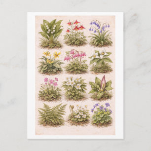 Vintage-Style Wildflower Illustration Postcard