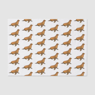 Vintage Stylised Brown Seal Sea Lion Tissue Paper