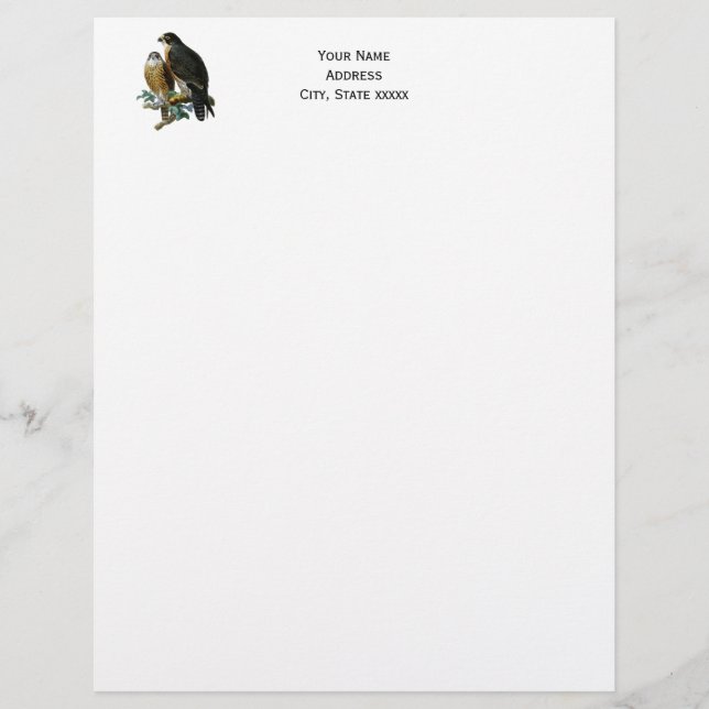 Vintage Stylised Falcons on a Branch Custom Letterhead (Front)