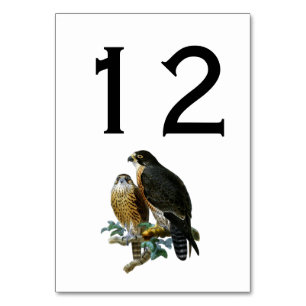 Vintage Stylised Falcons on Branch Table Number