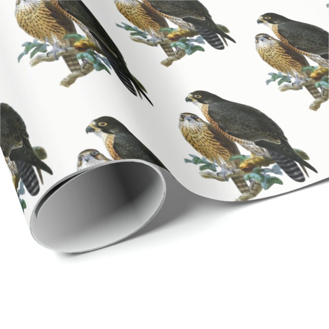 Vintage Stylised Falcons on Branch Wrapping Paper (Roll Corner)