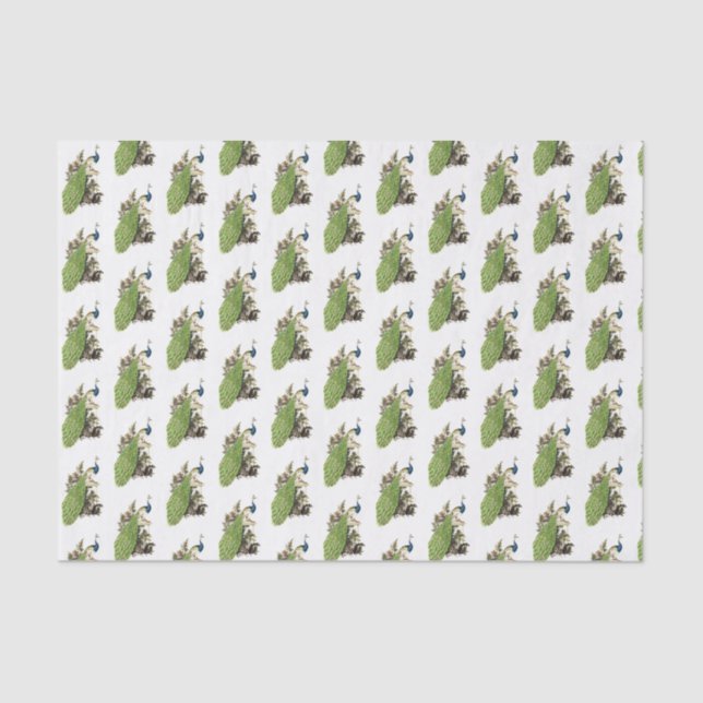 Vintage Stylised Peacock on a Branch Tissue Paper (Front)