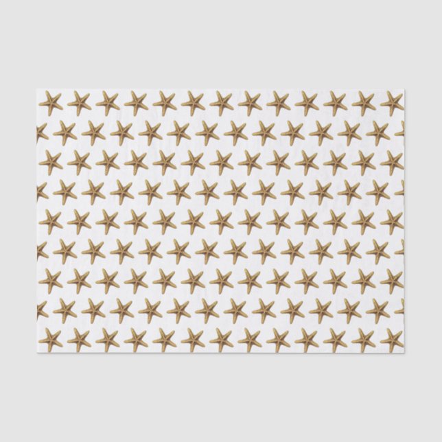 Vintage Stylised Starfish Drawing #3 Tissue Paper (Front)