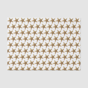 Vintage Stylised Starfish Drawing Tissue Paper