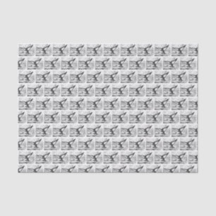Vintage Stylised Whale Tail Drawing Black Tissue Paper