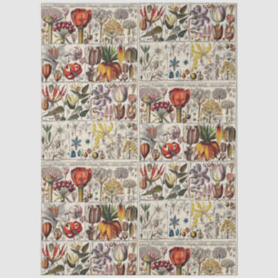 Vintage Stylized Flowers Botanical Book Plate #24 Tissue Paper