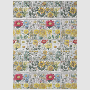 Vintage Stylized Flowers Botanical Book Plate #51 Tissue Paper