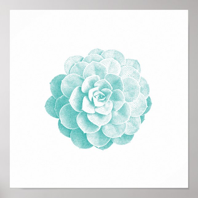 Vintage Succulent Plant Spring Garden Poster (Front)