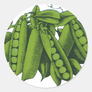 Vintage Sugar Snap Peas, Foods, Healthy Vegetables Classic Round Sticker
