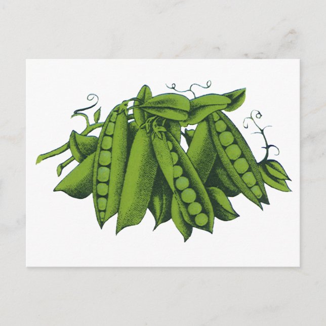 Vintage Sugar Snap Peas, Foods, Healthy Vegetables Postcard (Front)