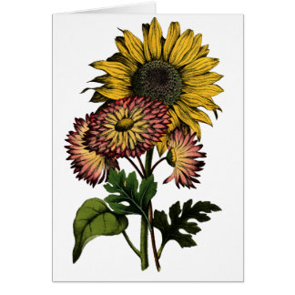 Vintage Sunflower - Blank Card